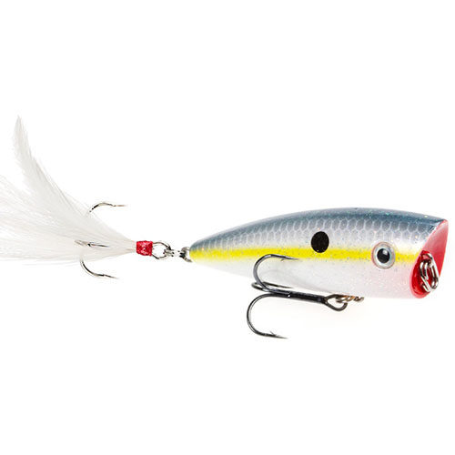 Strike King KVD Splash Topwater Popper